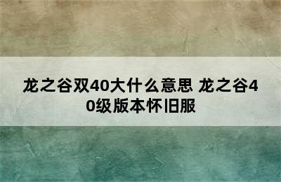 龙之谷双40大什么意思 龙之谷40级版本怀旧服